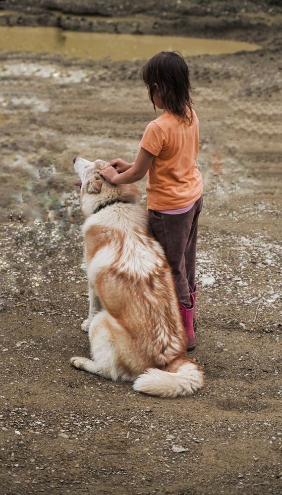 Photograph by Юлия Толстенева