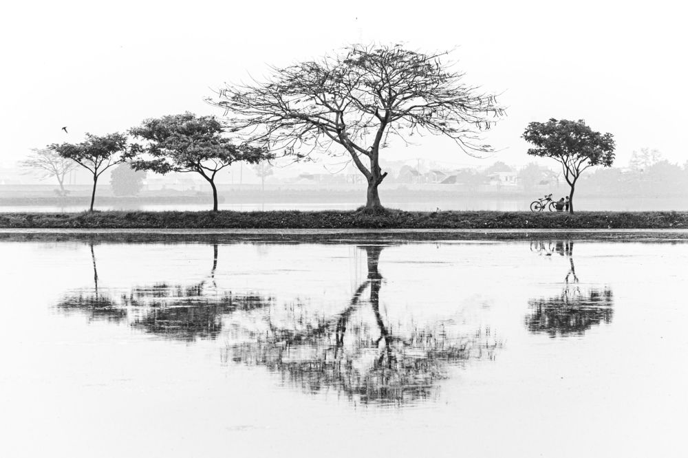 Quality Time in The Lake