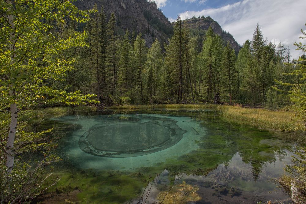 Photograph by Евгения Левина