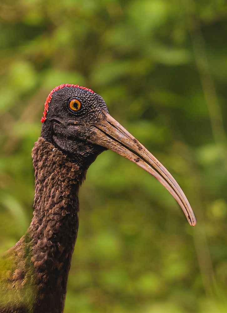 Photograph by Thakor Virendrasinh