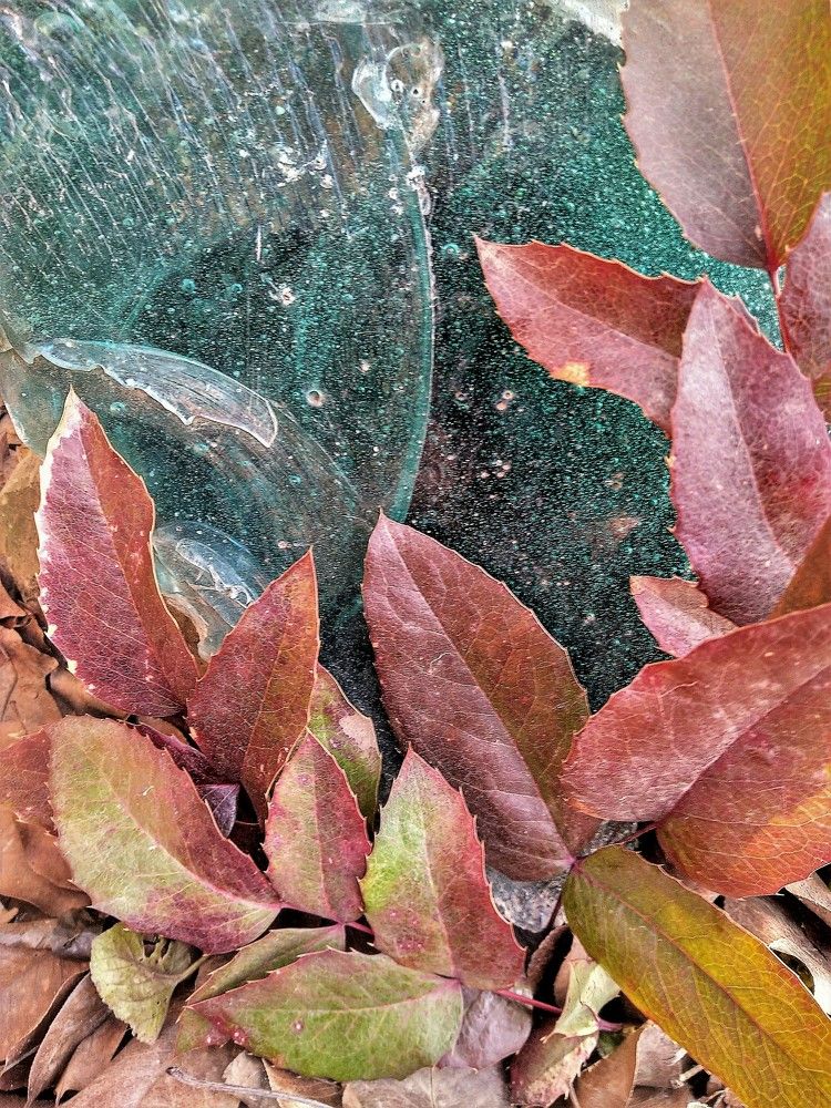 Где-то во Вселенной... / Somewhere in the Universe…