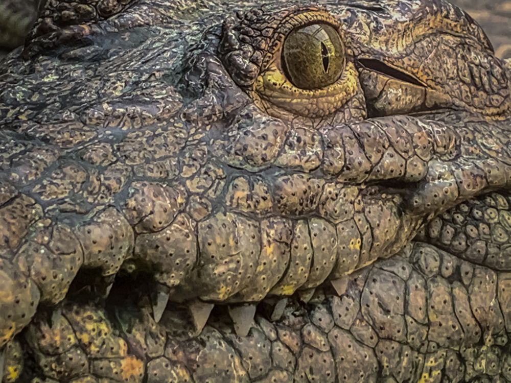 Photograph by Хавронина Марина