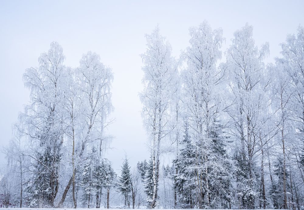 Photograph by Екатерина Родченкова