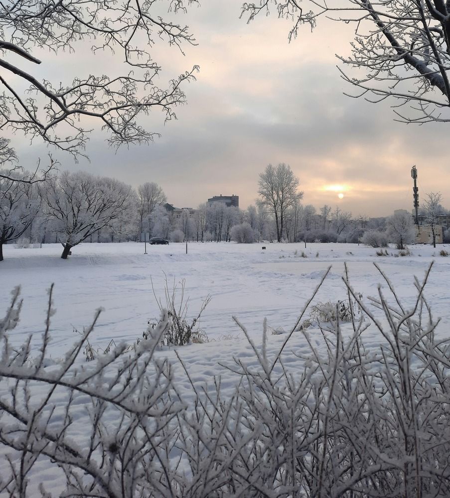 Photograph by Наталия Зилова