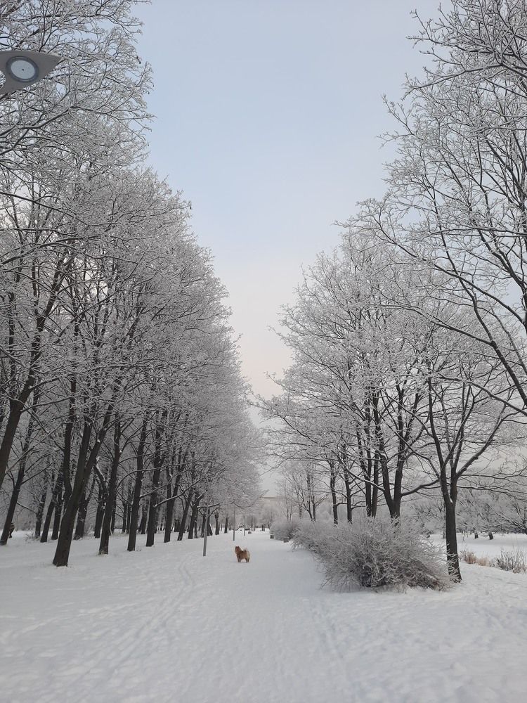 Photograph by Наталия Зилова