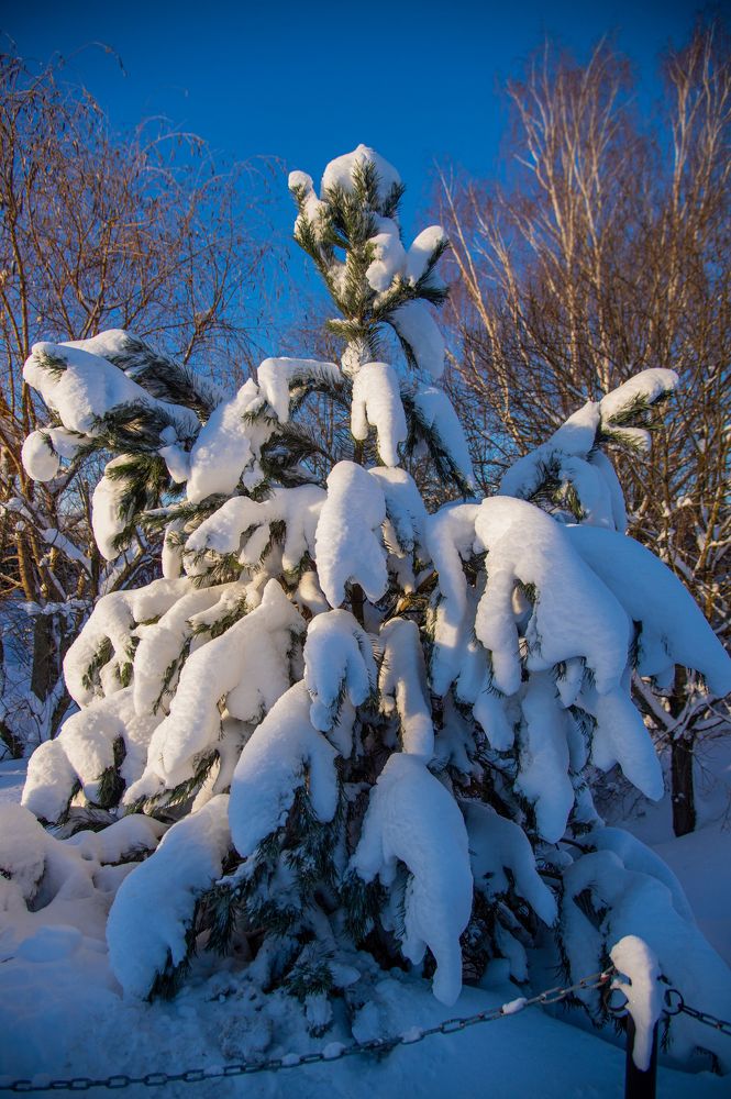 Photograph by Кристина Фарнакеева