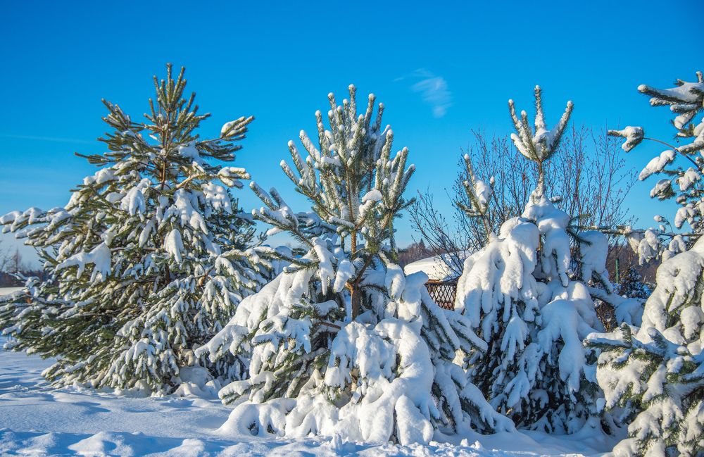 Photograph by Кристина Фарнакеева