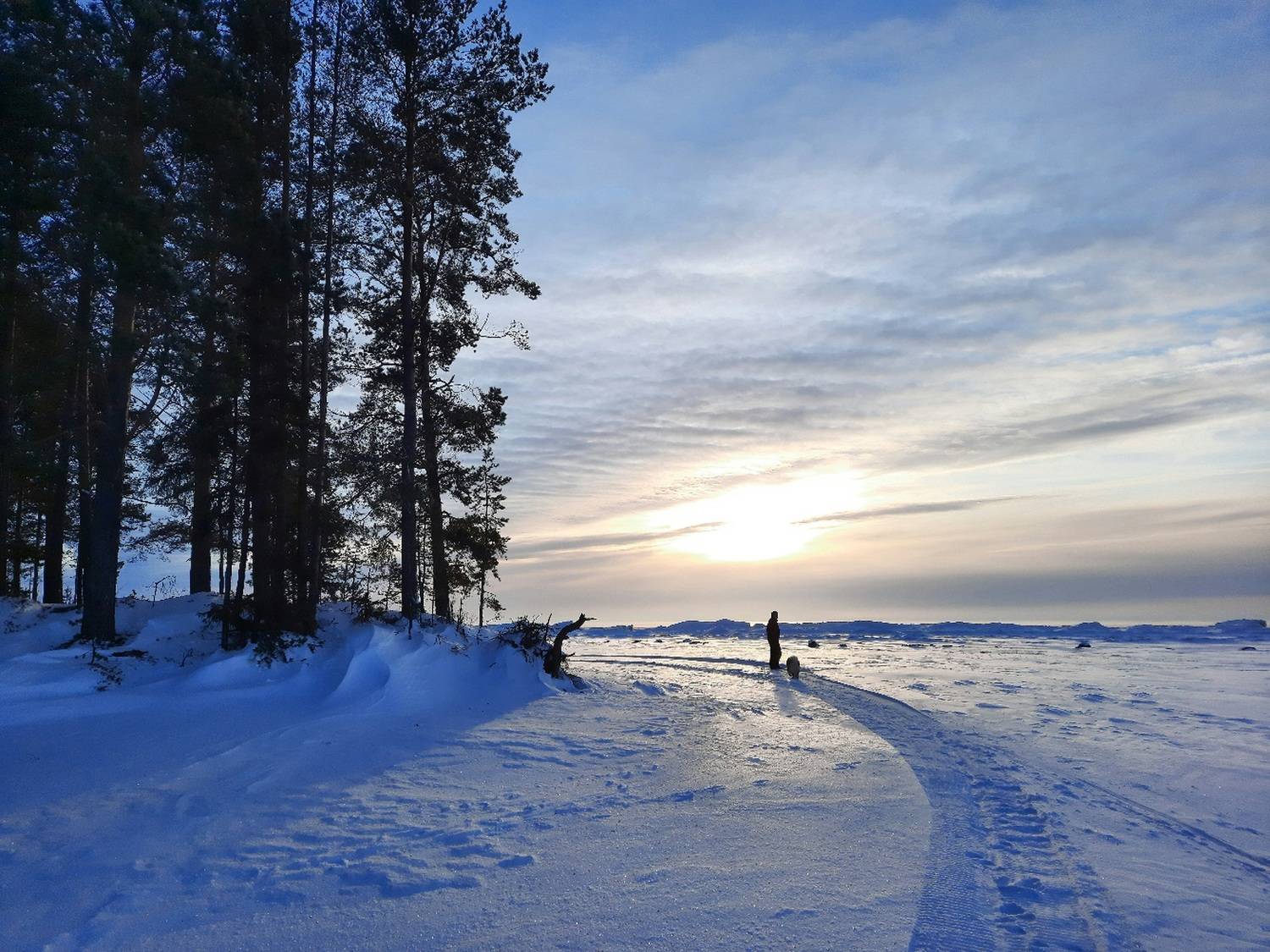 Photo #8535111