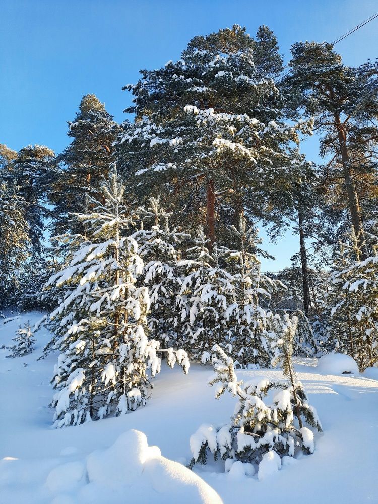 Photograph by Наталия Зилова