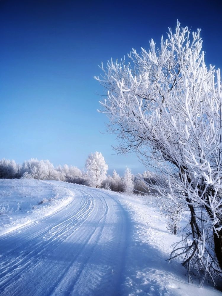 Photograph by Любовь Коровацкая