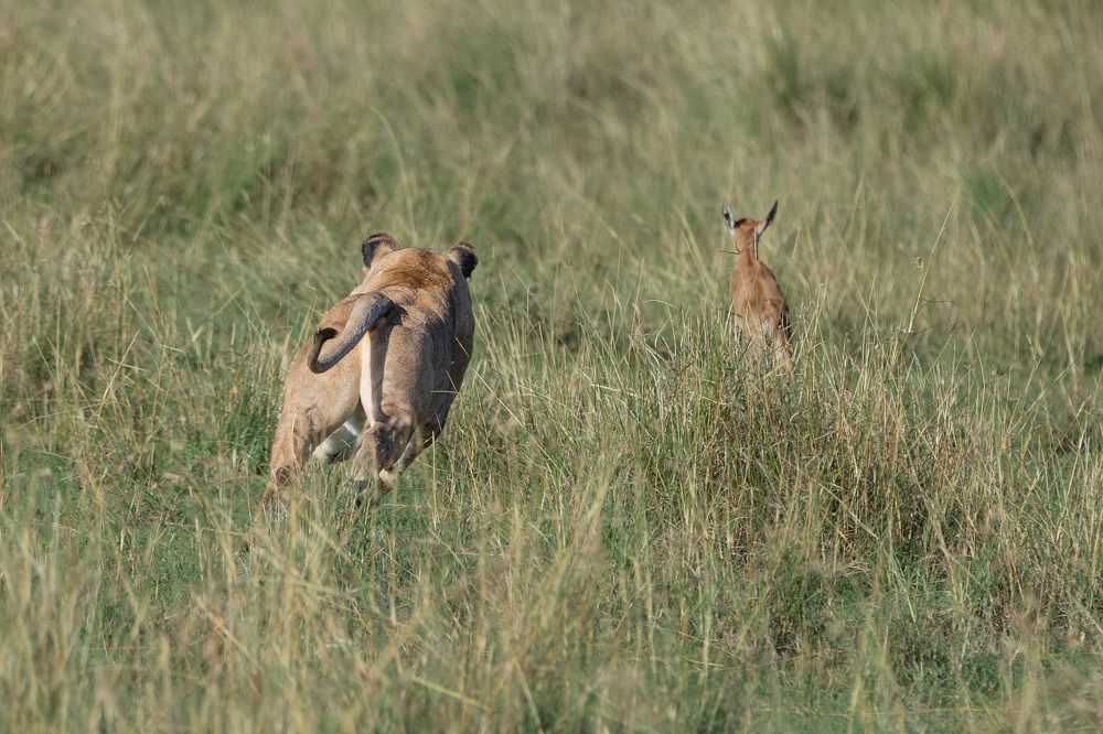 Photograph by Zubair Irshad