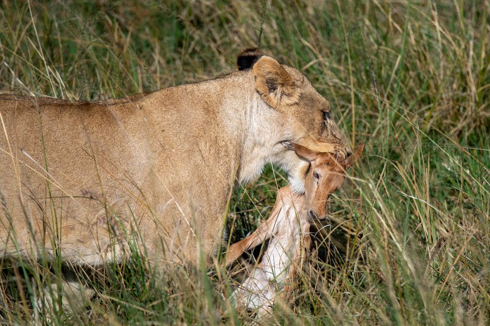 Photograph by Zubair Irshad