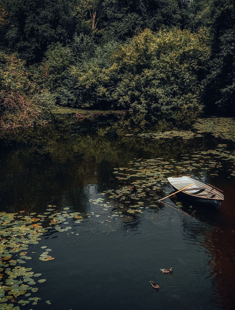 Photograph by Анастасия Каланакова