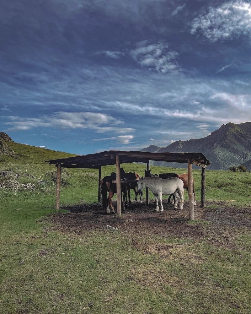 Photograph by Анастасия Каланакова