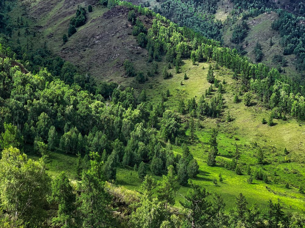 Photograph by Анастасия Каланакова