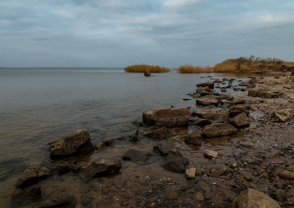 Photograph by александр медведев