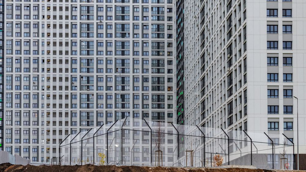 Муравейник