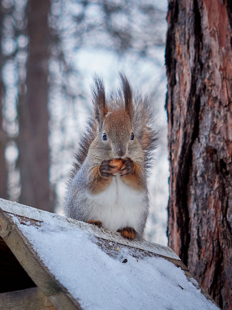 Photograph by Александр Васильев