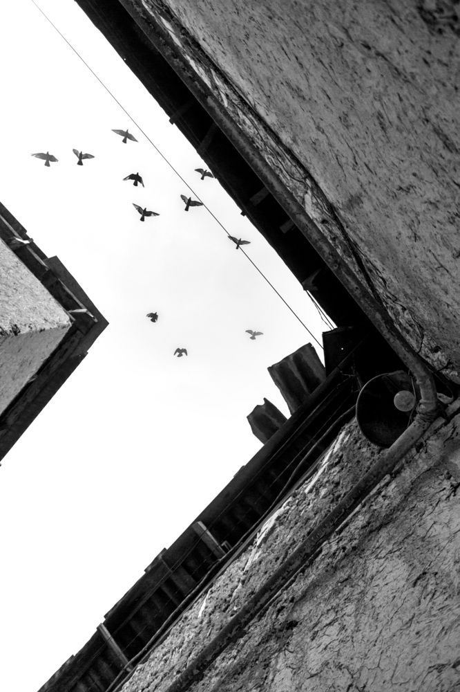 Photograph by Мария Фадеичева