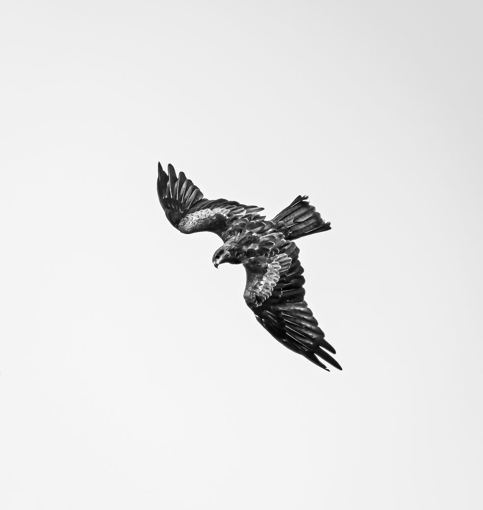 Photograph by Thakor Virendrasinh