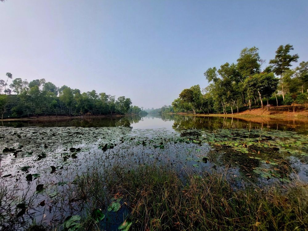 Photograph by Mostafa Shahriar