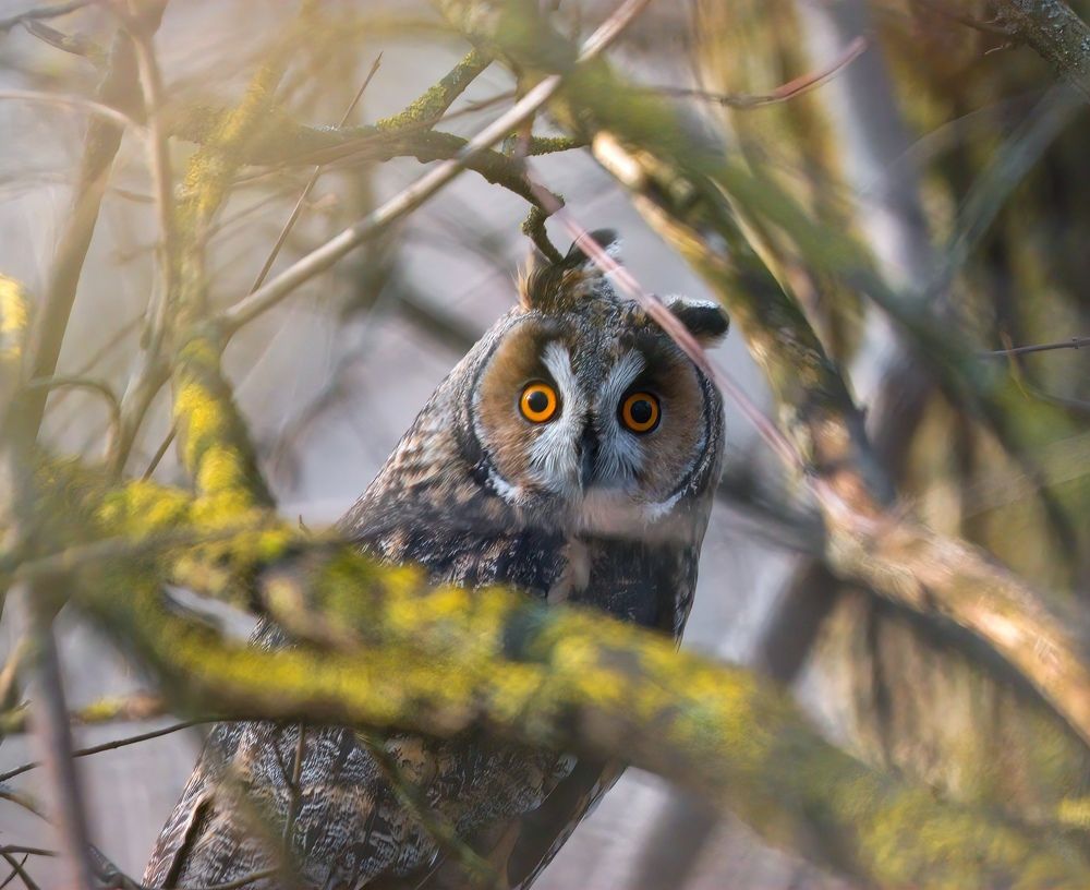 Фотография автора Sebastian Popa