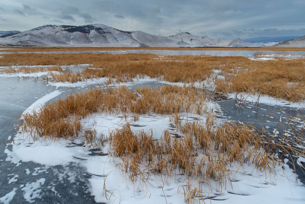 Photograph by Дмитрий