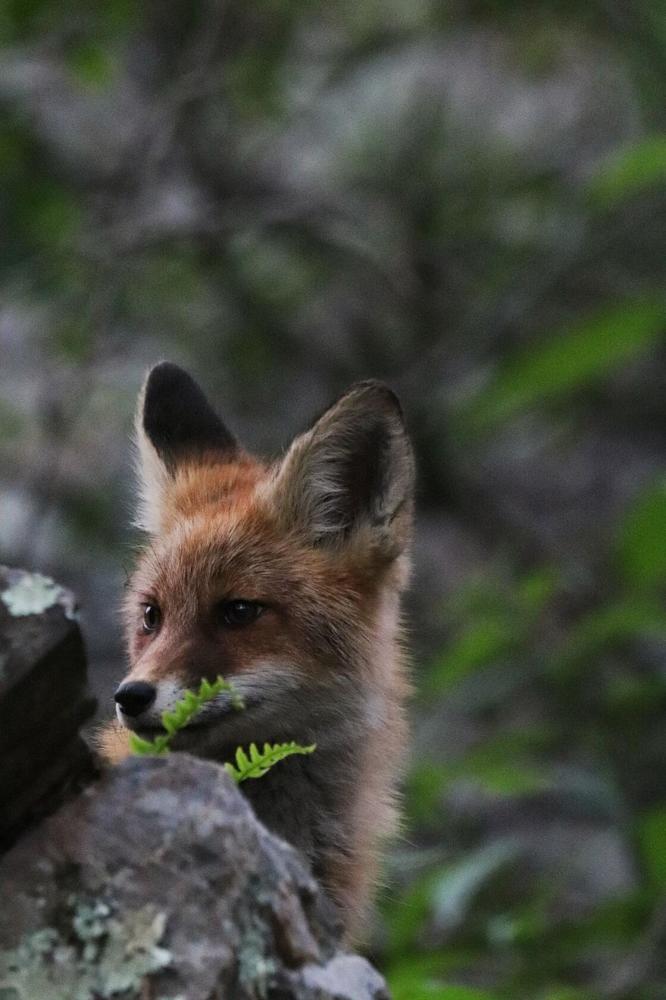 Photograph by Татьяна Кужлекова