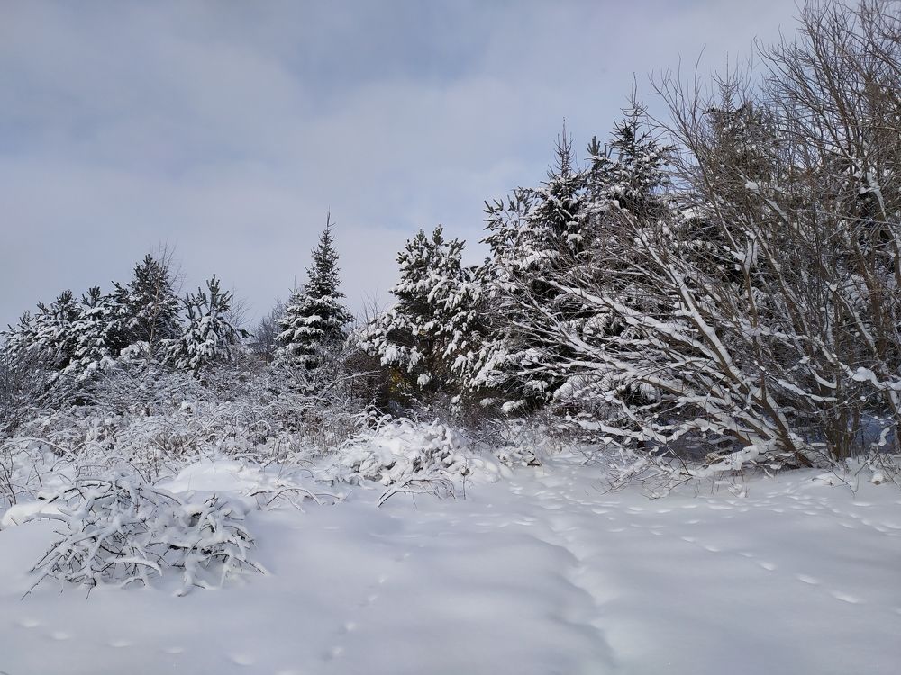 Photograph by Юлия Смирнова