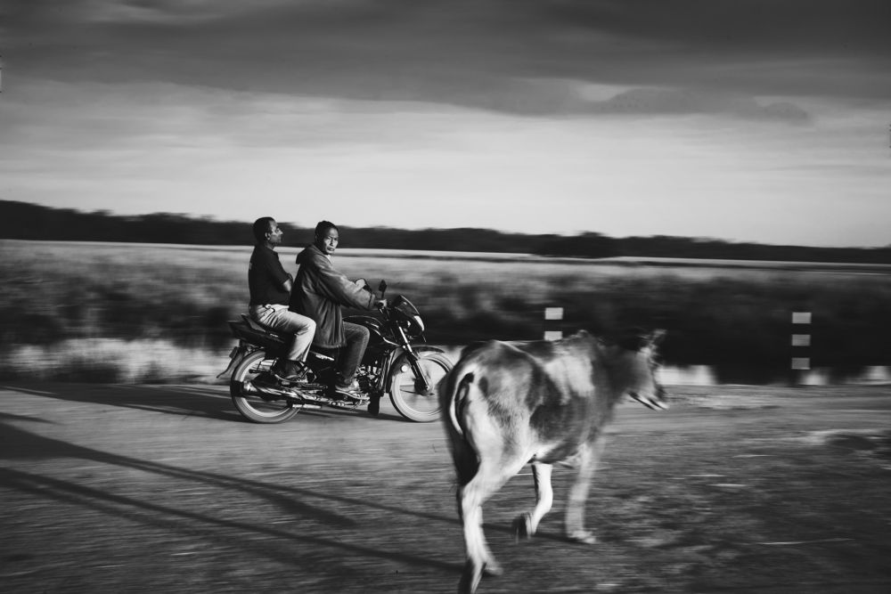 Photograph by Niranjan Baishya