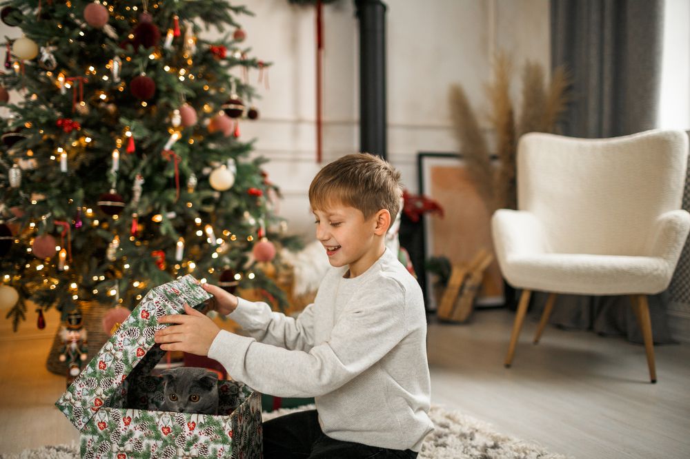 Photograph by Татьяна Бушук