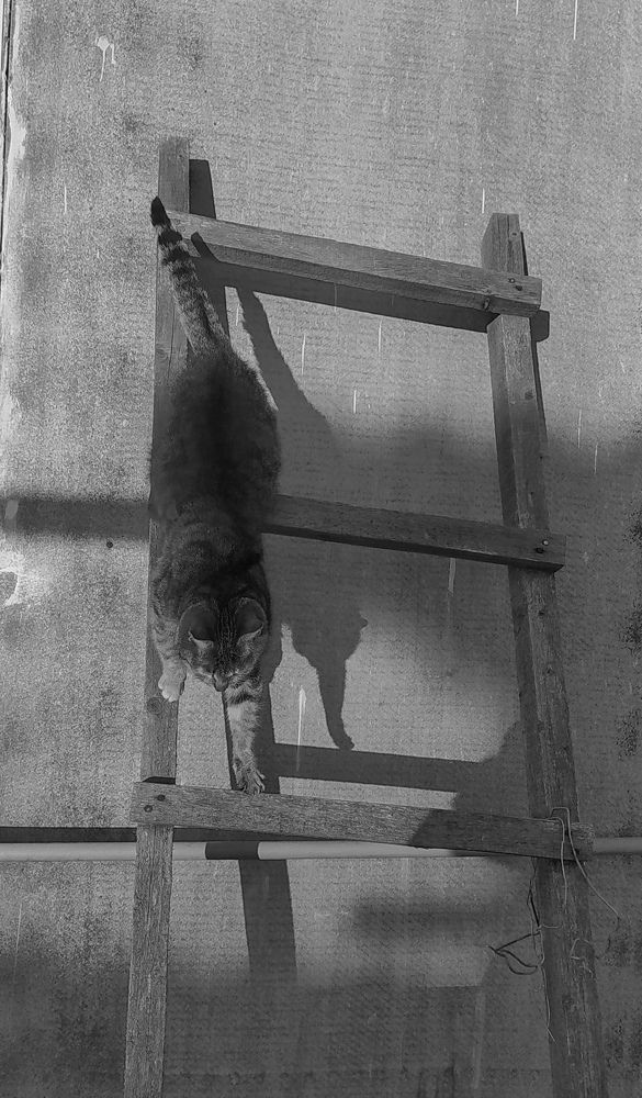 Photograph by Виталий Грачёв