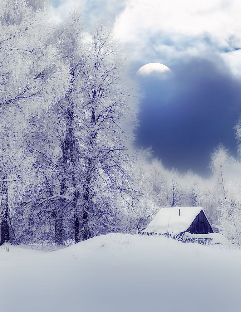 Photograph by Margarita