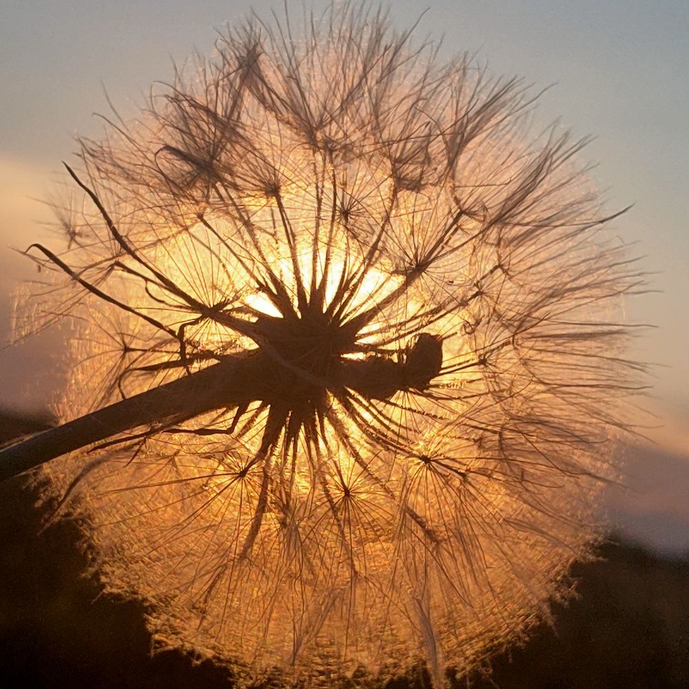 Photograph by Ольга