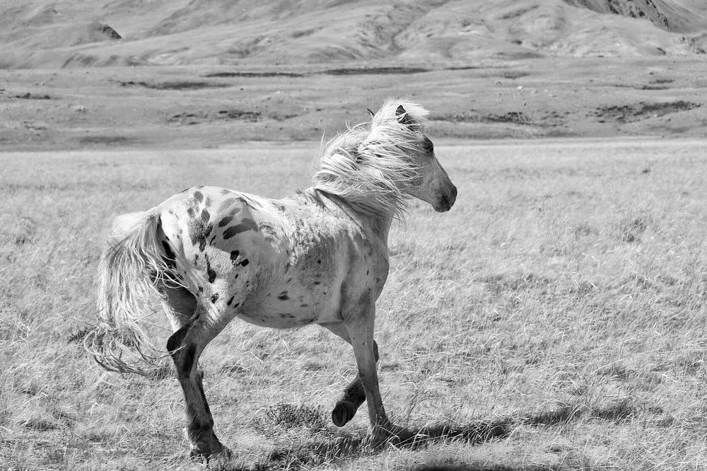 Photograph by Татьяна Кужлекова