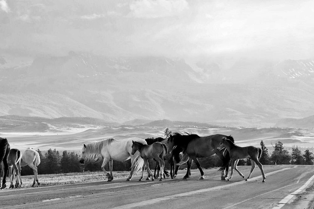 Photograph by Татьяна Кужлекова