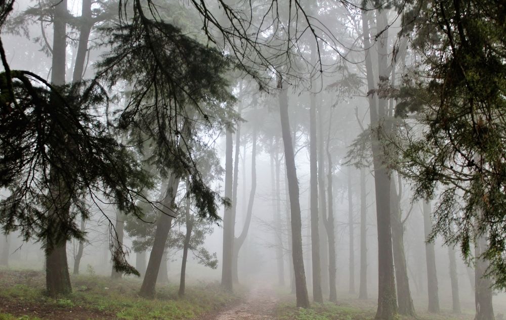 Photograph by Fernando Jorge Oliveira