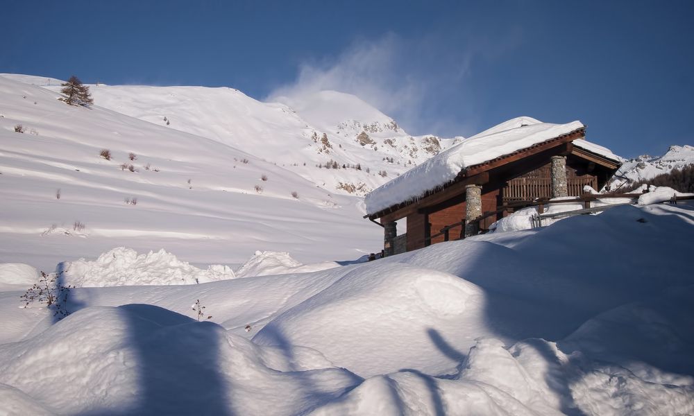 Photograph by Svetlana Rizzo