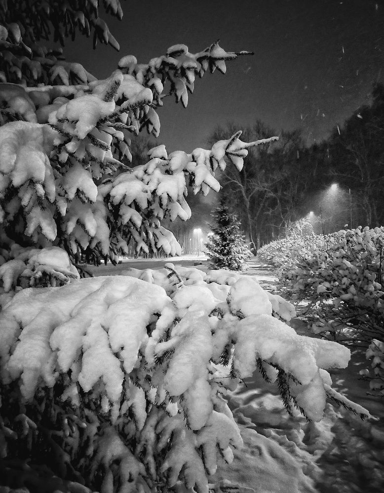 Photograph by Ольга Мартьянова