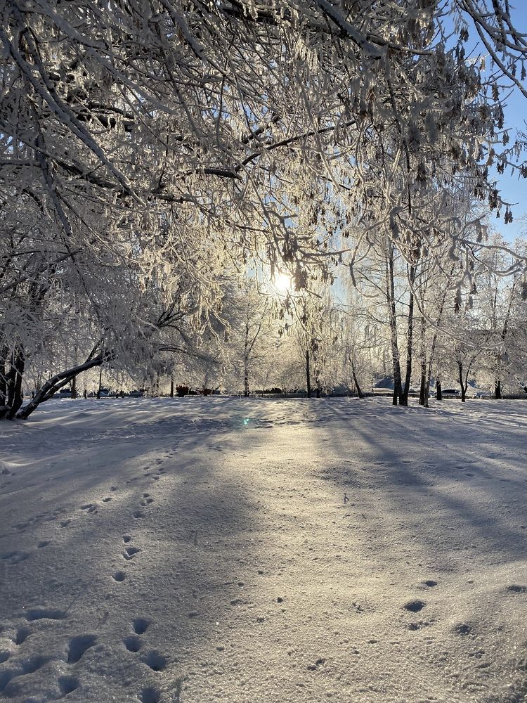 Photograph by Гульнара Шаньгина