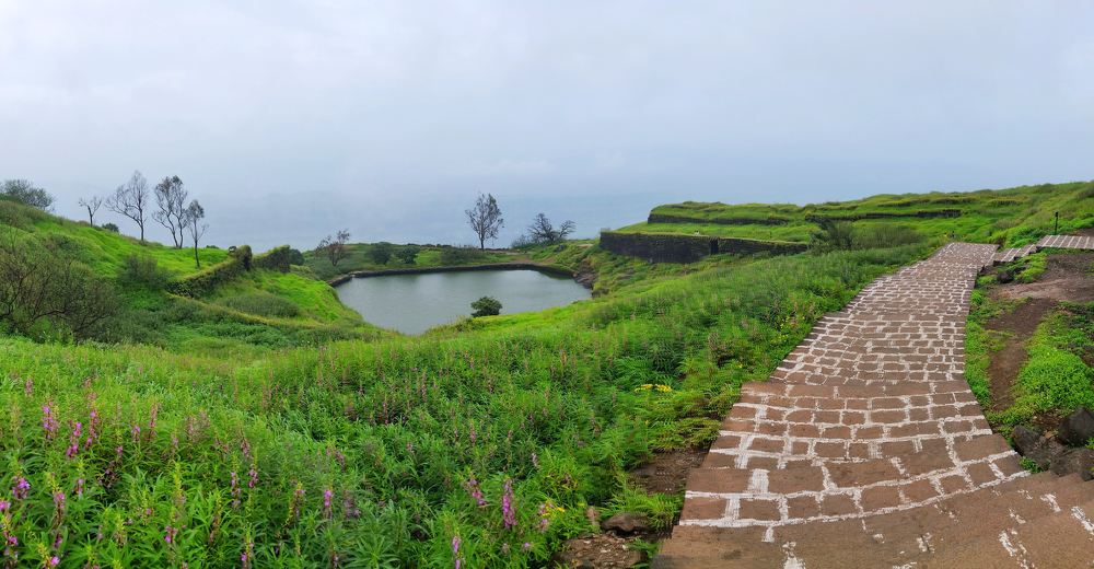 Photograph by Ranjith Kumar