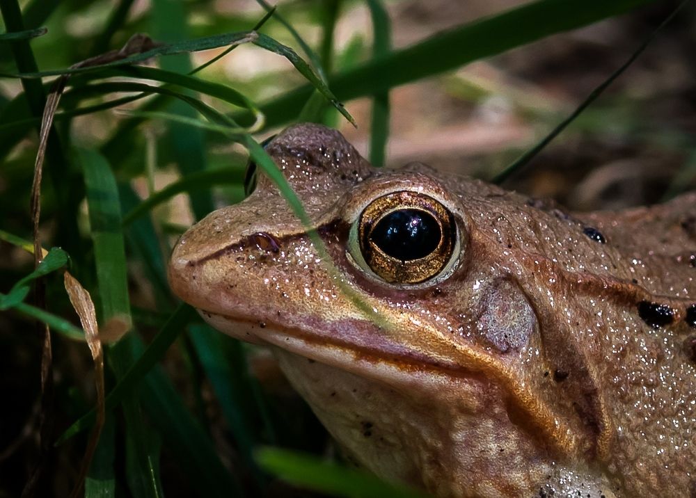 Photograph by Виктор Рыков