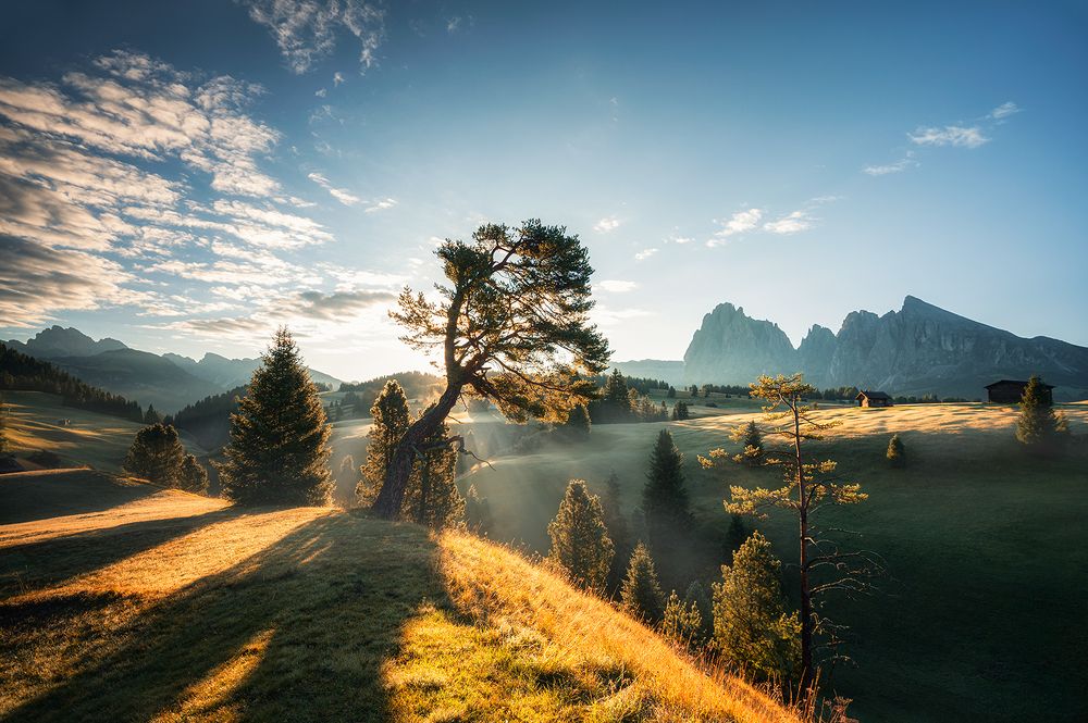 Photograph by Marija Filevska