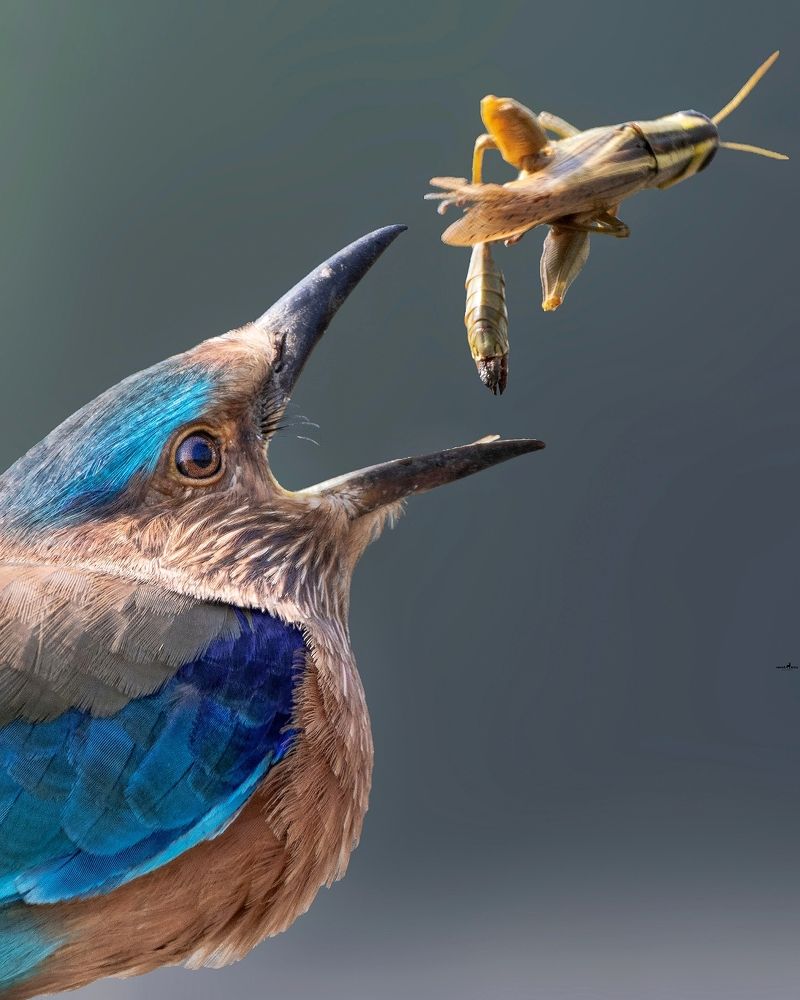 Photograph by Navonil Dutta