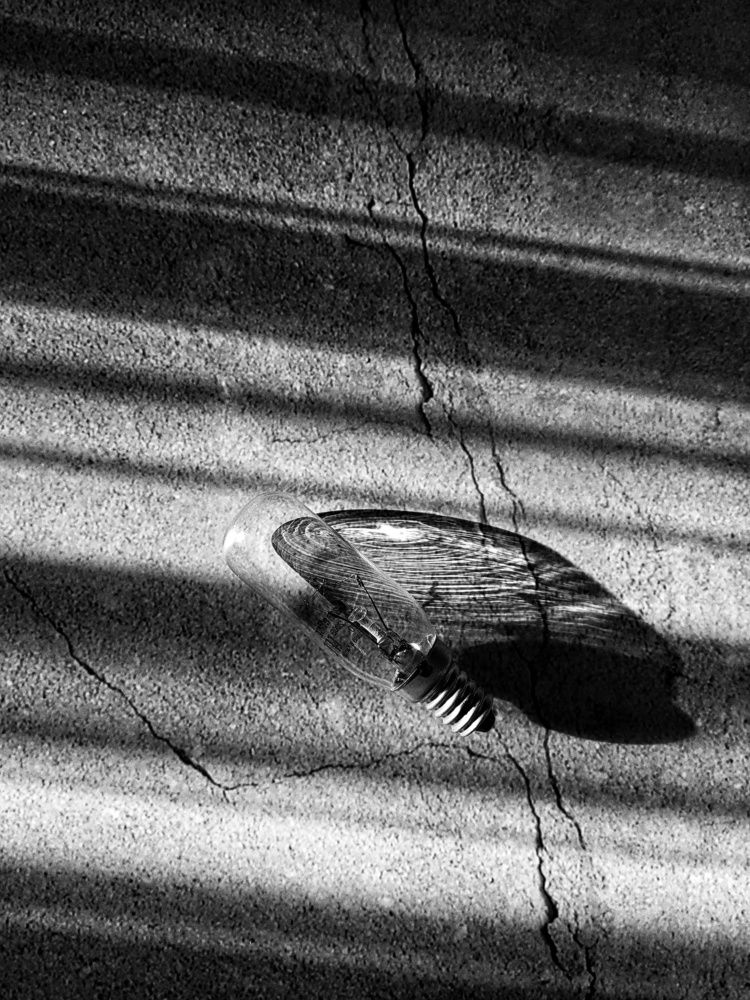 Фотография автора Ольга Игуменова