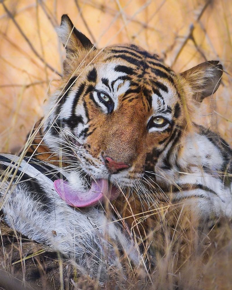 Photograph by Navonil Dutta