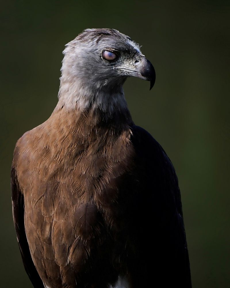 Photograph by Navonil Dutta