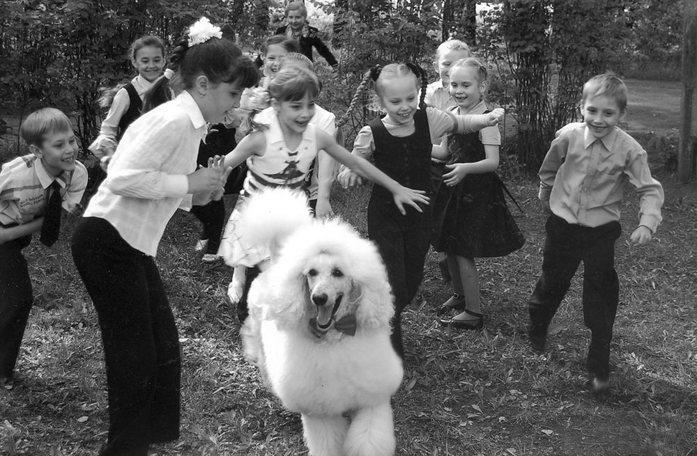 Photograph by Владимир Емельянов