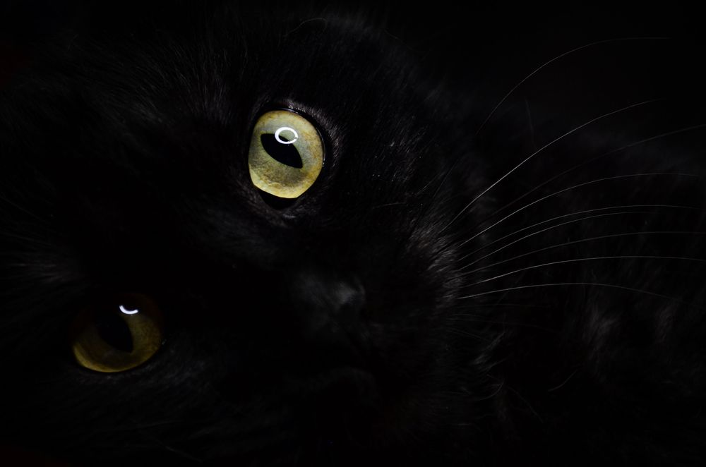 Photograph by Дарья Маркина