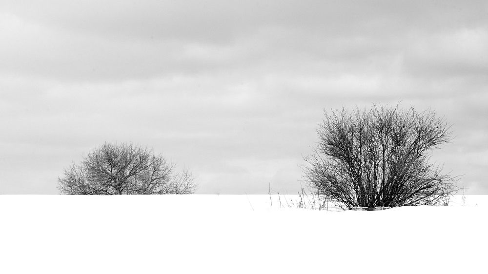 Photograph by NIKOLAY GORBUNOV